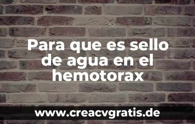 Que es el estilo o sello personal 8 Para que es sello de agua en el hemotorax