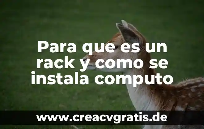 Qué es países desarrollados 5 Para que es un rack y como se instala computo