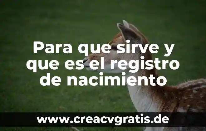 Que es el acta de nacimiento articulo de dugh 4 Para que sirve y que es el registro de nacimiento