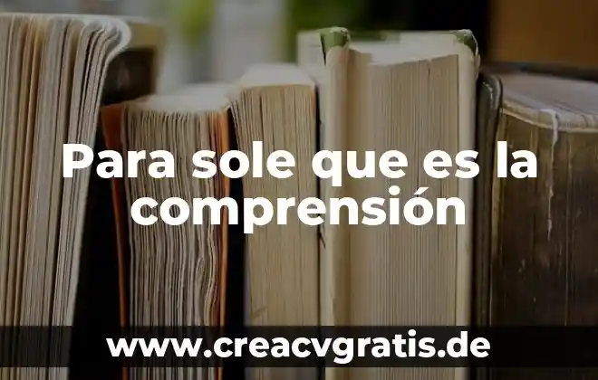 Que es el paradigma ambiental 7 Para sole que es la comprensión