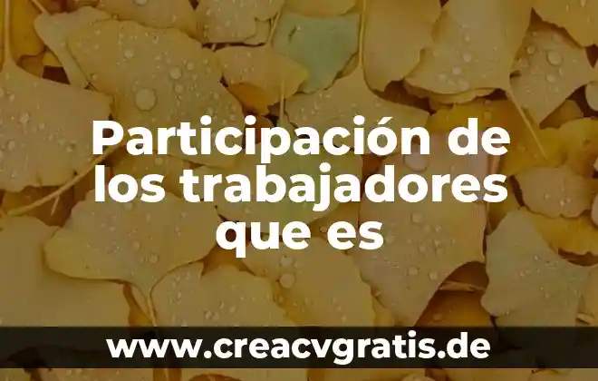 Que es un sindicato de trabajadores 5 Participación de los trabajadores que es