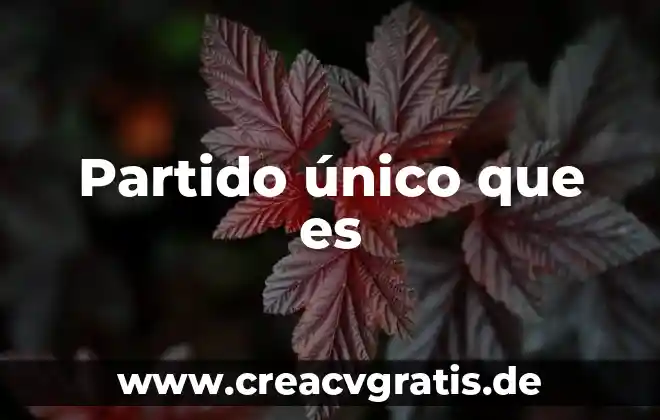 Que es el fuego fisicamente 6 Partido único que es