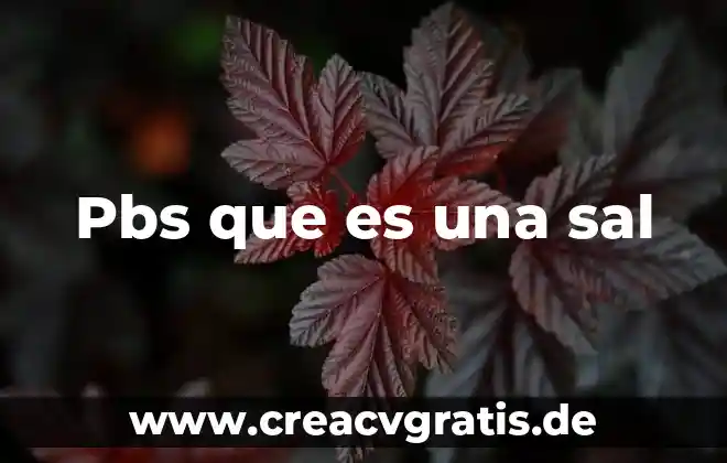Cuando se mezcla agua y sal que es 3 Pbs que es una sal