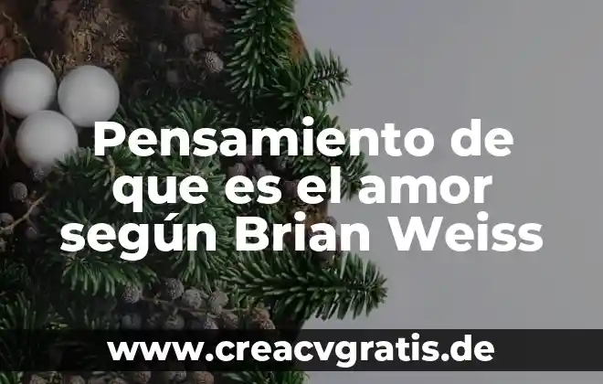 Qué es el modelo de pensamiento 5 Pensamiento de que es el amor según Brian Weiss