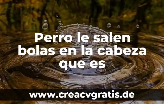 Que es si un perro vomita y hace sangre 7 Perro le salen bolas en la cabeza que es