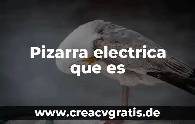 Que es una salida de centro electrica 5 Pizarra electrica que es