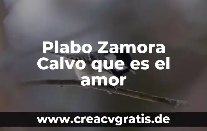 Conclusión de lo que es el amor 3 Plabo Zamora Calvo que es el amor
