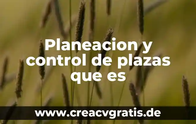 Qué es planeación didáctica en psicología educativa 8 Planeacion y control de plazas que es