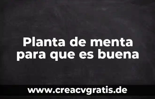Que es el suche planta 8 Planta de menta para que es buena