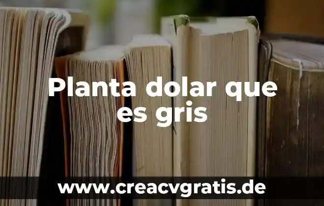 Que es mejor el peso mexicano o dolar 3 Planta dolar que es gris