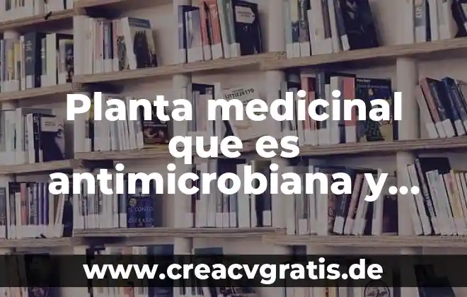 Qué es la planta medicinal arnica 7 Planta medicinal que es antimicrobiana y anestecia local
