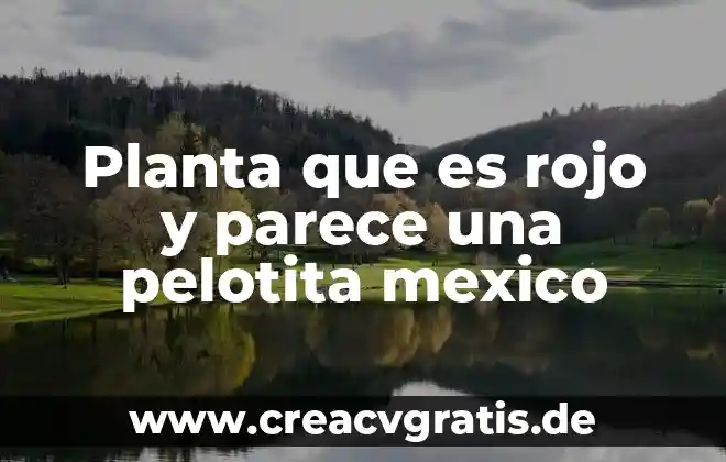 Qué es la planta vascular biología 7 Planta que es rojo y parece una pelotita mexico