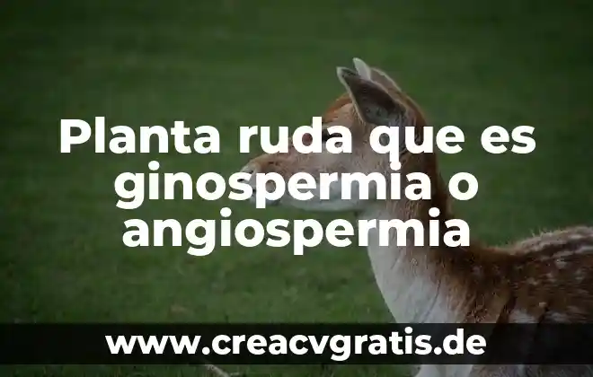 Turo que es planta 3 Planta ruda que es ginospermia o angiospermia