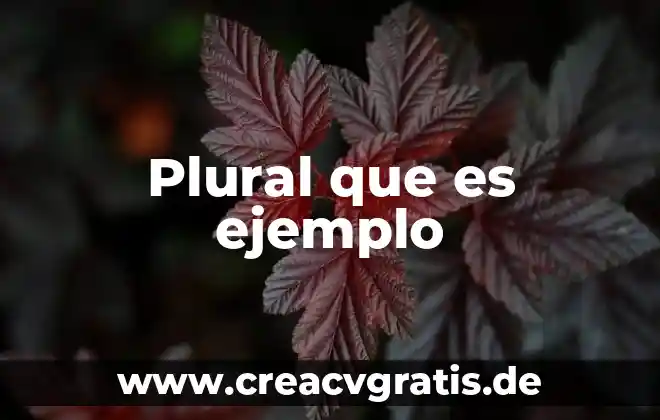 Que es plural en ingles ejemplos 3 Plural que es ejemplo