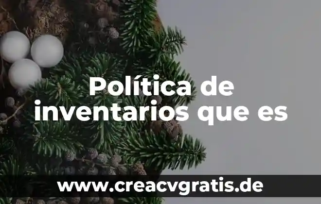 Que es estridente en politica 4 Política de inventarios que es