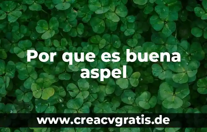 Qué es el número de id ine 6 Por que es buena aspel