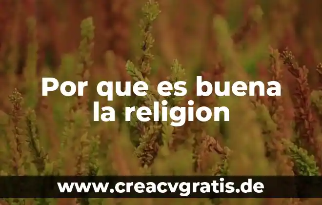 Para que es buena la planta de ruda 5 Por que es buena la religion