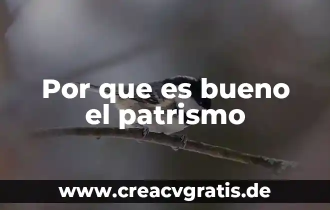 Conclusion de que es ser bueno ciudadanos 8 Por que es bueno el patrismo