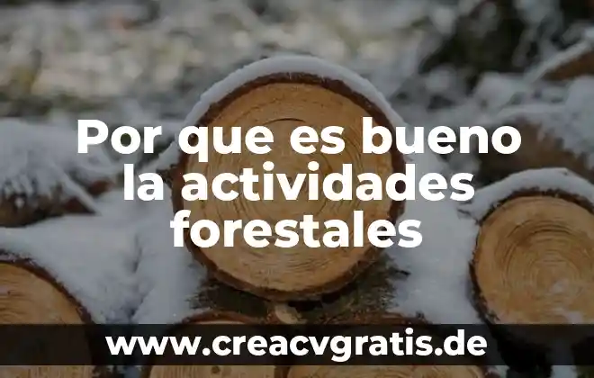 Que es bueno para el insomnio casero 6 Por que es bueno la actividades forestales