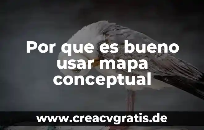 Qué es bueno tomar después de donar sangre 8 Por que es bueno usar mapa conceptual