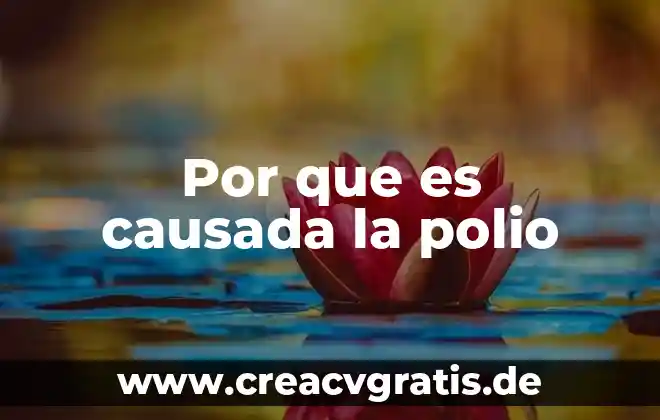 Aeroempresas que es que significa 7 Por que es causada la polio