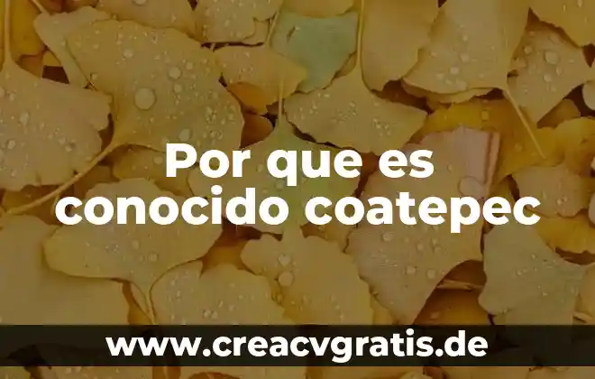 Nombre con el que es conocido la laringe 4 Por que es conocido coatepec