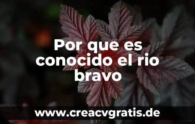 Nombre con el que es conocido la laringe 6 Por que es conocido el rio bravo
