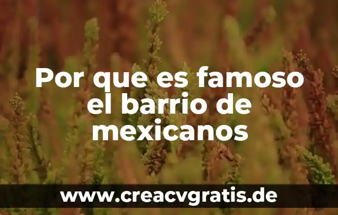 Que es buki para los mexicanos 3 Por que es famoso el barrio de mexicanos