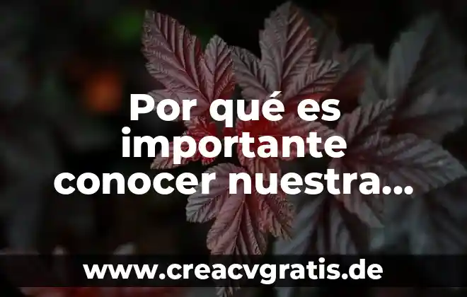 Por que es importante nuestra bandera mexicana 6 Por qué es importante conocer nuestra pasión