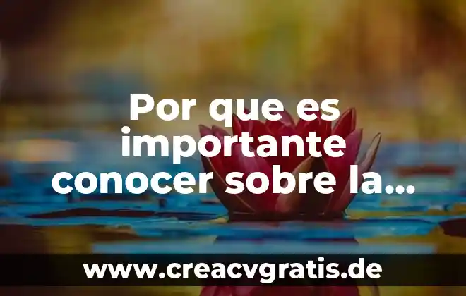 Que es un modelo de reaccion quimica 5 Por que es importante conocer sobre la reacción en exceso