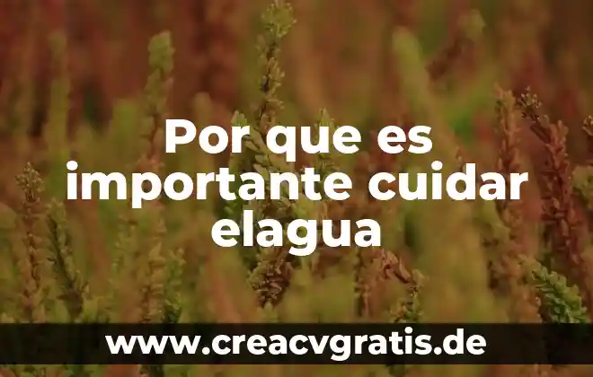 Por que es importante no caer en los productos milagros 5 Por que es importante cuidar elagua