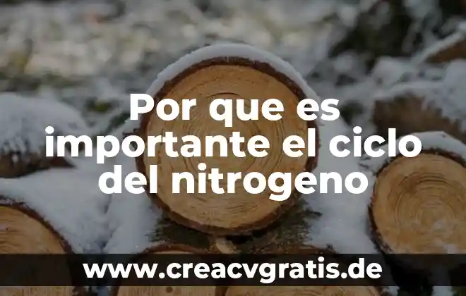 Que es el ciclo del nitrogeno y su importancia 5 Por que es importante el ciclo del nitrogeno