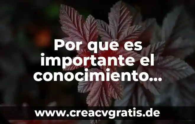 Qué es entorno reducido en límite definición informal 6 Por que es importante el conocimiento cientifico en nuestro entorno