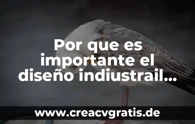 Tipos de erupciones en la piel que es 4 Por que es importante el diseño indiustrail o dibujo industrial