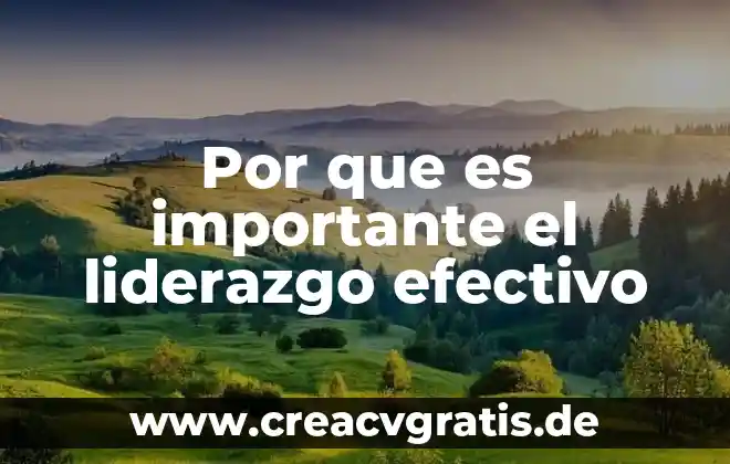 Qué es efectivo definición 5 Por que es importante el liderazgo efectivo