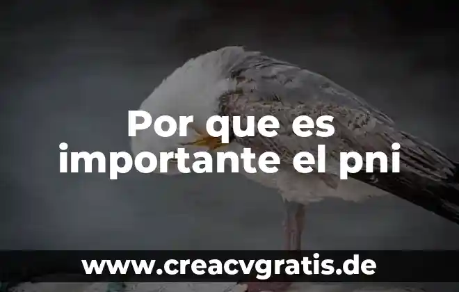 Por que es importante la firma en los formularios 5 Por que es importante el pni
