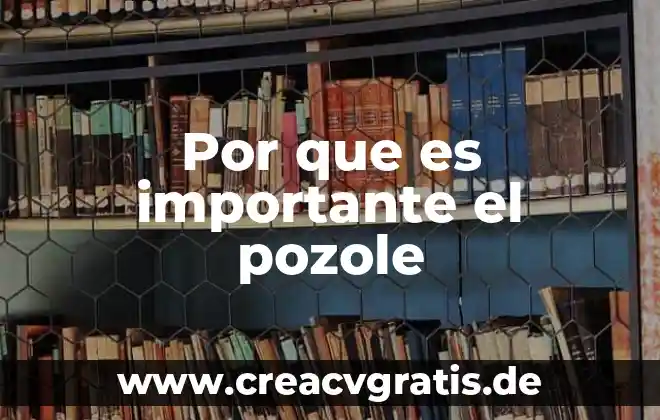 Por que es importante saber llenar un formulario 5 Por que es importante el pozole