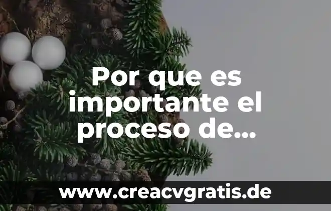 Por que es importante el ser loli 6 Por que es importante el proceso de busqueda de empleo