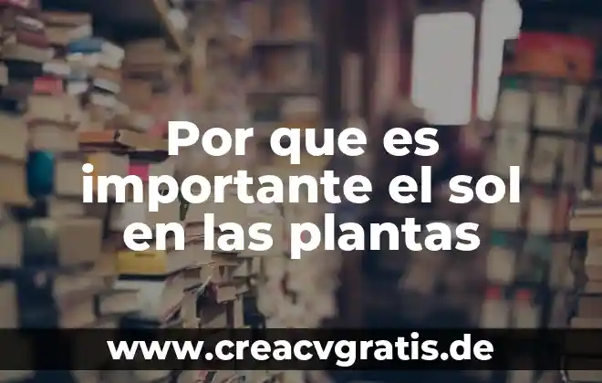 Qué es plantas perennes y caducas 5 Por que es importante el sol en las plantas