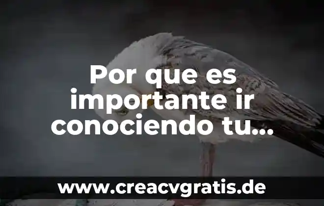 Que es bueno para hqcer rendir tu dinero 6 Por que es importante ir conociendo tu identidad