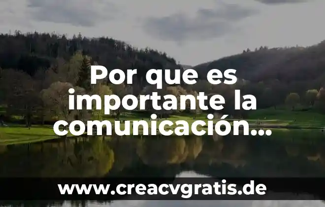 Que es consultoria y tipos 4 Por que es importante la comunicación como valor