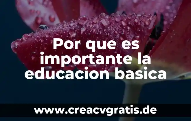 Qué es psicología básica y aplicada unam 4 Por que es importante la educacion basica