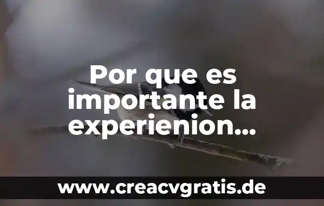 Por que es importante utilizar con responsabilidad el intw 5 Por que es importante la experienion escrita