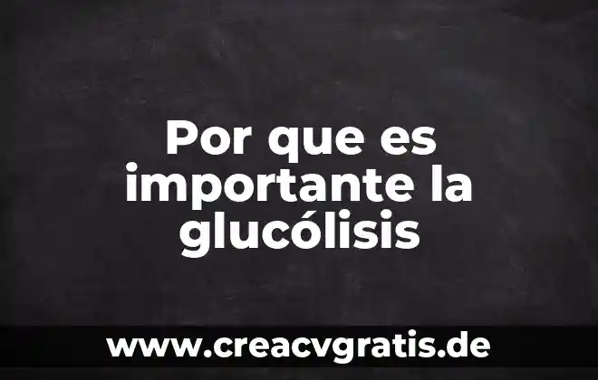 Por que es importante saber llenar un formulario 3 Por que es importante la glucólisis