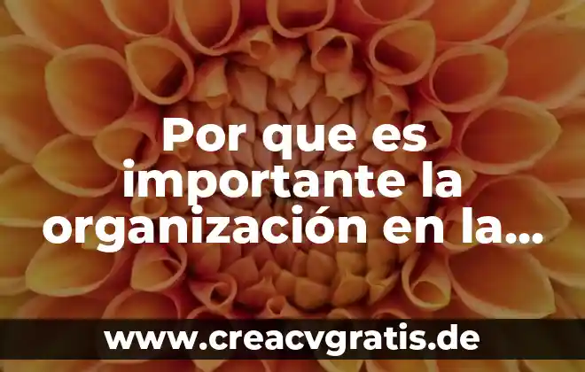Que es una organizacion tecnica de una empresa 6 Por que es importante la organización en la labor docente