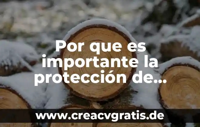 Por que es importante informarnos sobre el abandono animal 7 Por que es importante la protección de datos