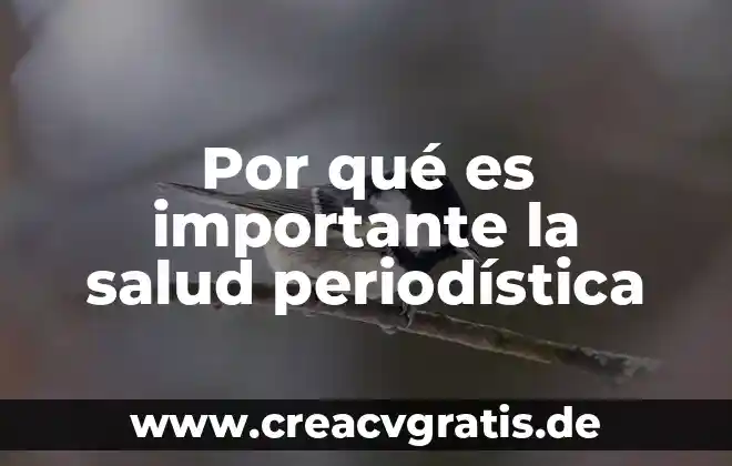 Por que es importante un ministro de justicia 7 Por qué es importante la salud periodística
