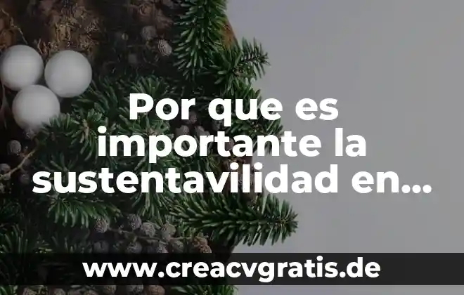 Qué es sustentabilidad y por qué es importante 6 Por que es importante la sustentavilidad en mexico