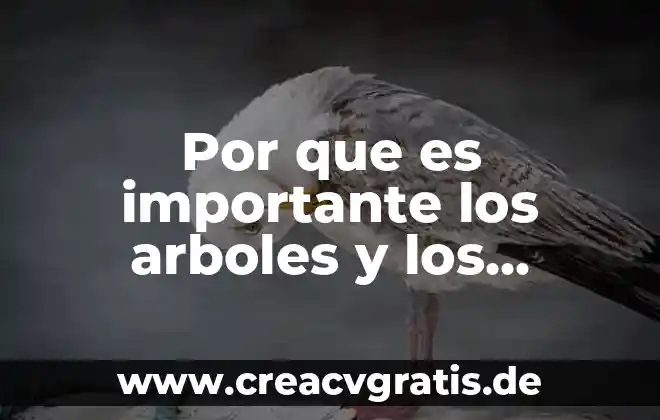 Por que es importante utilizar con responsabilidad el intw 7 Por que es importante los arboles y los animales