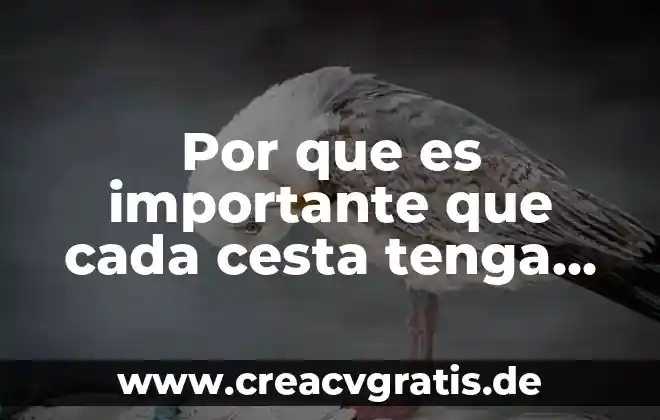 Por que es importante informarnos sobre el abandono animal 6 Por que es importante que cada cesta tenga su funcion